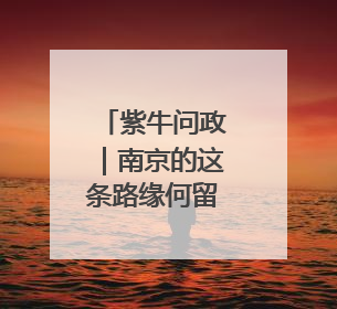 紫牛问政｜南京的这条路缘何留了200米不种树